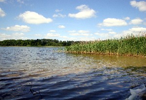 Alt-Sammit - Krakow am See