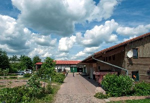 Alt-Sammit - Krakow am See